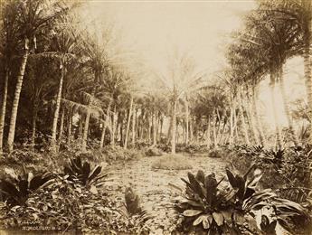 JAMES J. WILLIAMS (1853-1926) An album with 24 photographs of Hawaii, including Princess Kaiulani, surfers, landscapes, cityscapes, agr